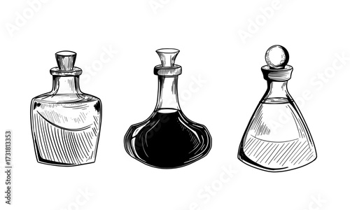 Bottles with potions. Hand drawn illustration converted to vector.