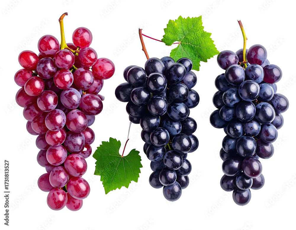 Fototapeta premium bunch of red grapes