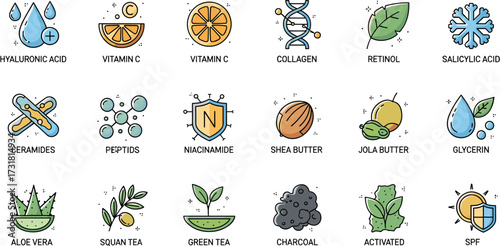 Colorful Outline Skincare Ingredient Set with Vitamins and Natural Extracts Illustration