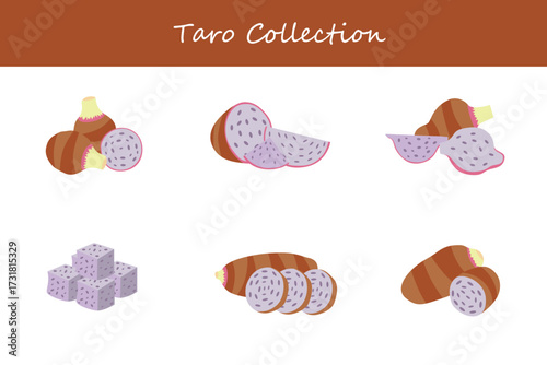 taro collection in different style. Vector illustration.