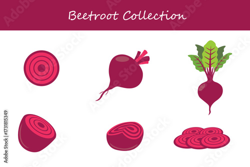 beetroot collection in different style. Vector illustration.