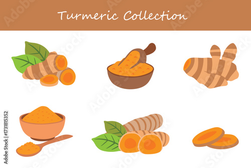 turmeric collection in different style. Vector illustration.