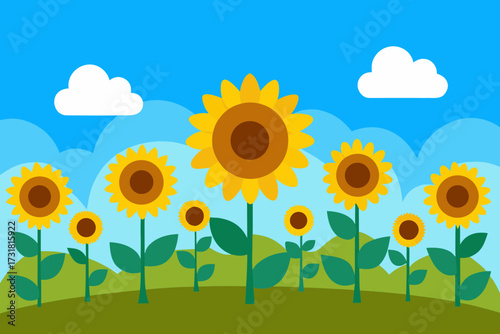 A simple cartoon of a sunflower field under a blue sky vector illustration