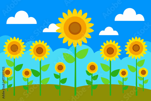 A cartoon illustration of a sunflower field under a blue sky vector illustration