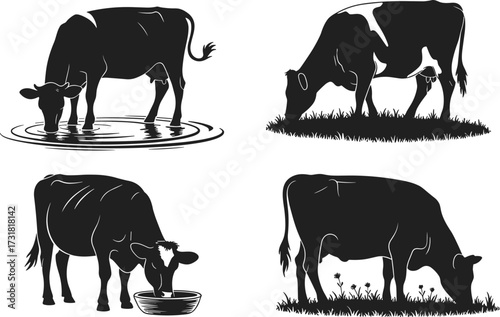 Cow silhouettes, grazing cattle, drinking cow, farm animals, rural life, livestock icons, agriculture, pasture, dairy farming, bucket drink, meadow, grass, flowers, nature