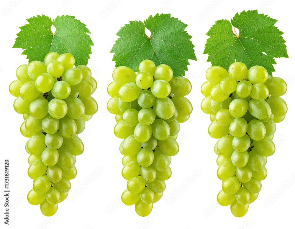 Obraz premium Three bunches of light green grapes with leaves