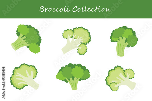 broccoli collection in different style. Vector illustration.