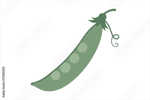 Vector art of a single green pea pod, showcasing its smooth texture and plump peas, representing freshness, nutrition, and the bounty of nature