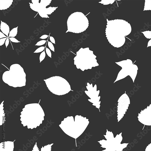 Seamless pattern with white silhouette leaves. Leaf of maple, linden, birch, oak and chestnut on black background. Print for textile, package, wrapping paper. Vector illustration