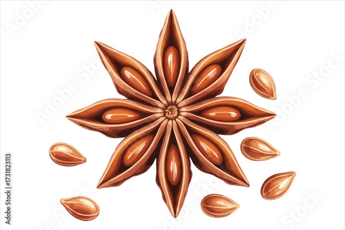 Vector art of aromatic star anise, , with its distinctive star shape and warm brown hue, adds flavor to culinary creations and symbolizes good fortune in various cultures