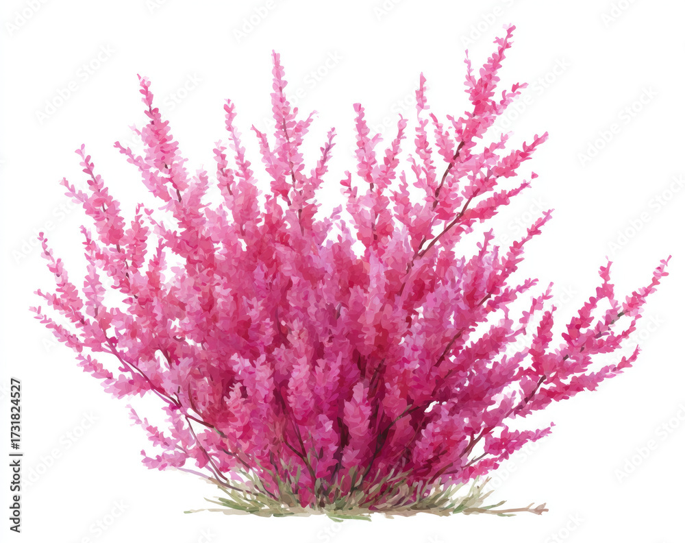 Fototapeta premium pink flowers isolated on white