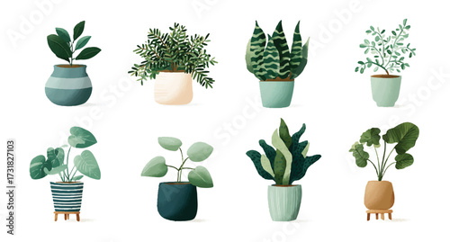 Collection of Different Potted Plants Home Decor Gardening Greenery Natural Elements Indoor Plants Assorted Varieties Botany