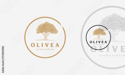 Olive tree vintage logo vector illustration design, silhouette olive tree