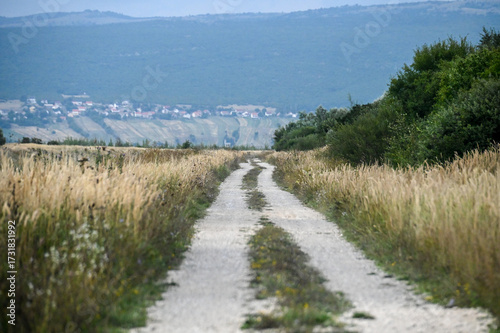 Quadro em tela A long straight macadam road in a field.