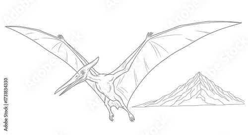Soaring Pterodactyl Line Art Minimalist Prehistoric Sky Theme Adult Coloring Page