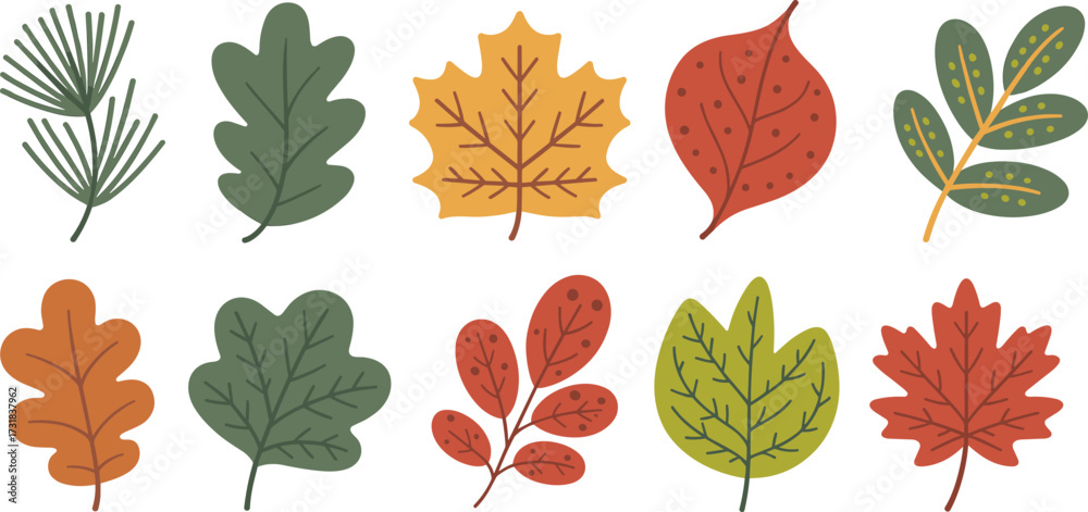Obraz premium Collection of colorful autumn leaves vector illustration, fall season foliage design, decorative botanical elements, nature clipart, simple leaf icons set