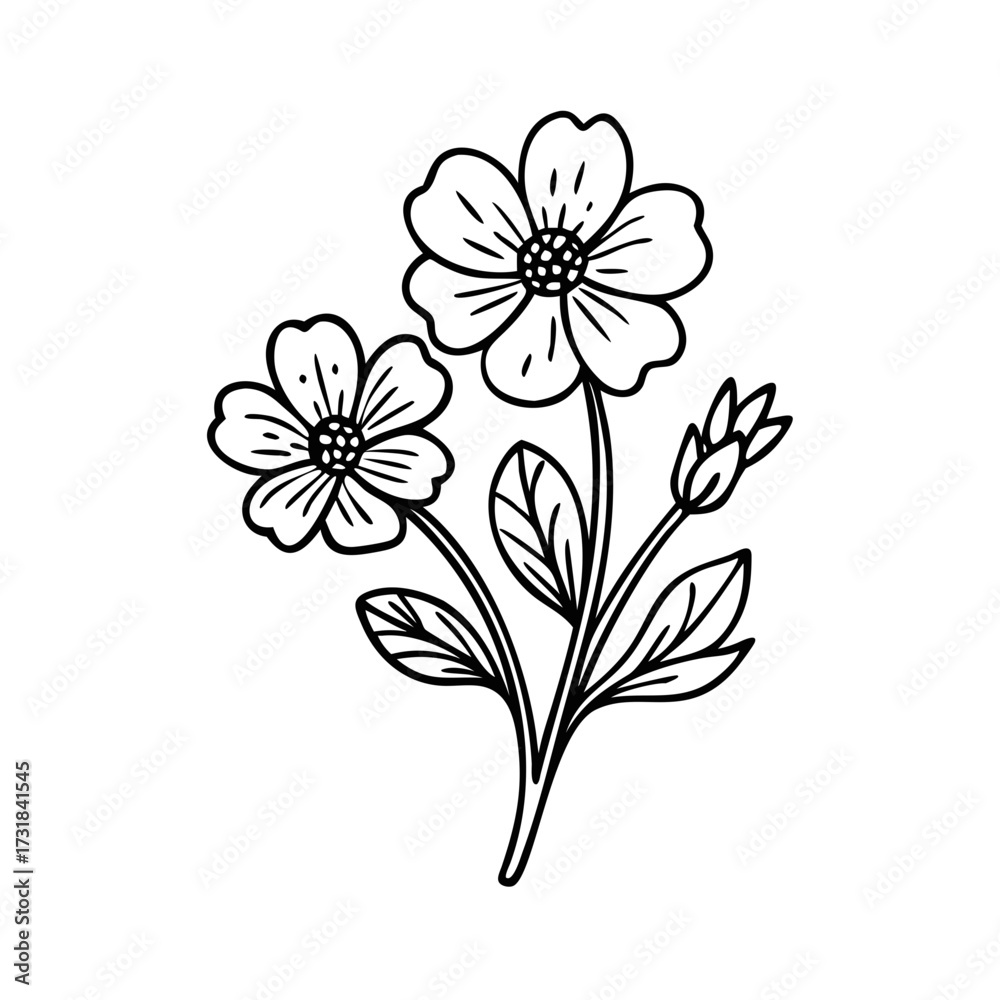 Obraz premium wildflower line art style vector illustration