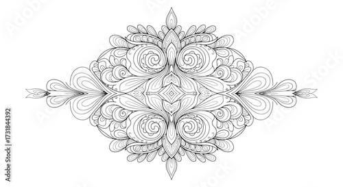 Meditative Coloring Page Symmetrical Abstract Design with Flowing Lines Art