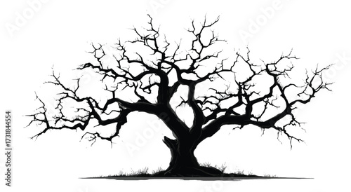 Dramatic Silhouette of a Bare Tree Against a Stark White Background Expressing Winter or Death