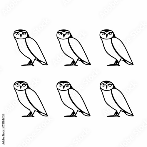 Set of six owl drawings, hand drawn vector illustration