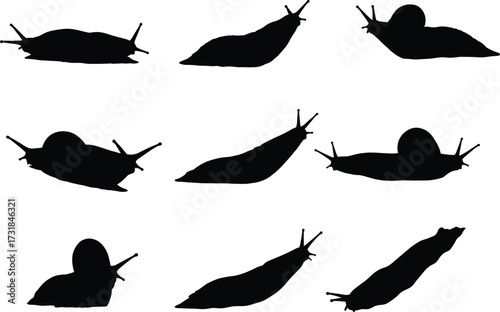 Silhouette collection of snails and slugs, crawling mollusks illustration, animal shapes for design, biology study, nature concept, vector graphic