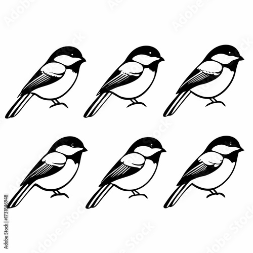 Six chickadee birds in a row vector illustration of chickadees