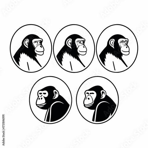 Group of five chimpanzee heads in a circle vector illustration