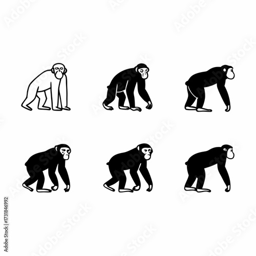 Group of six chimpanzees walking vector illustration