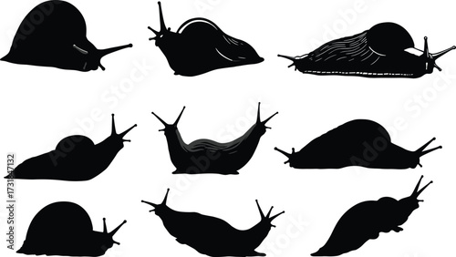 Black silhouette collection of slugs isolated on white background, crawling mollusk illustration, garden pest design, nature wildlife vector, slimy creature artwork