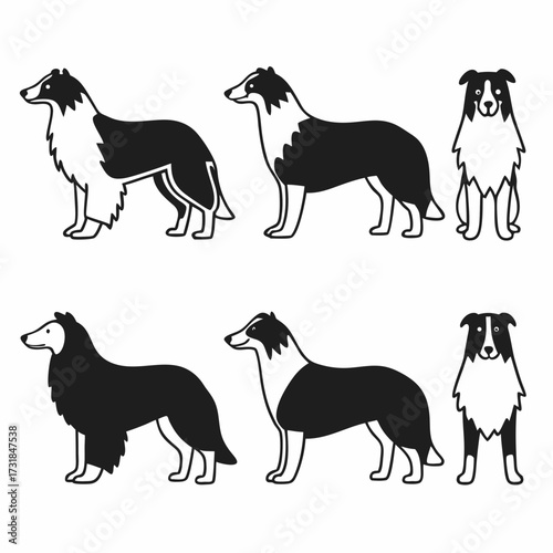 Illustration of collie dogs in different poses vector art