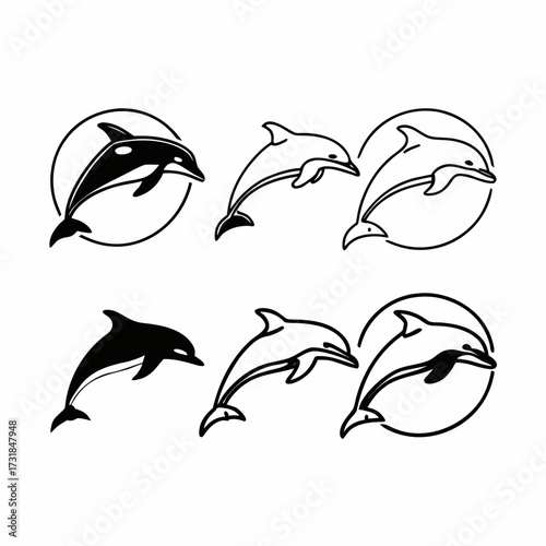 Set of dolphin vector collection of marine mammal illustration