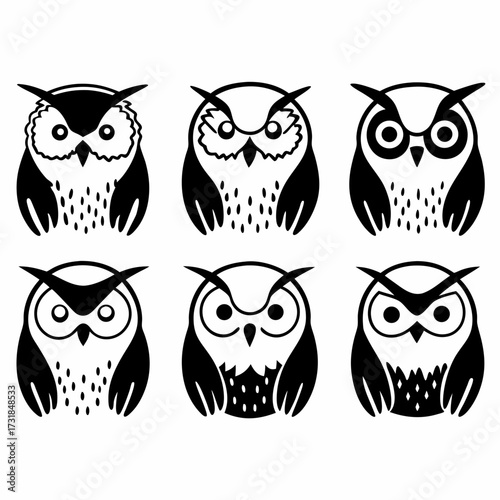 Illustration of six owls with different patterns, nocturnal birds of prey