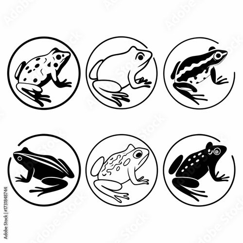 Six frog icons in circles, showcasing diverse amphibian silhouettes