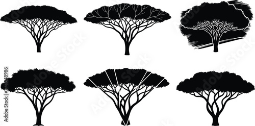Acacia tree silhouettes, African tree icons, flat top canopy design, black botanical art, savanna nature symbol, desert landscape illustration, wildlife habitat trees