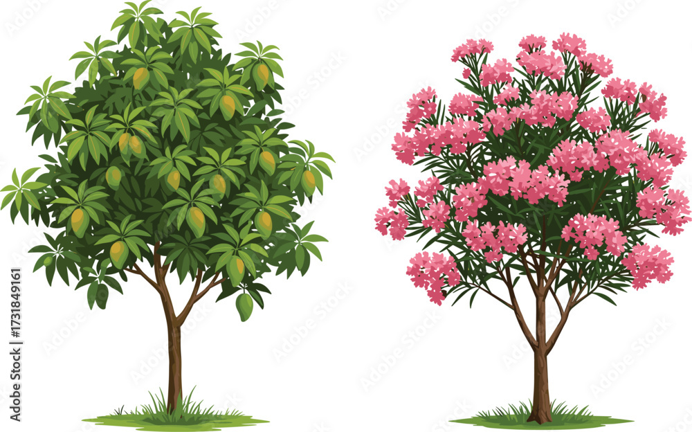 Naklejka premium Mango tree with ripe fruits and flowering pink tree illustration, natural greenery landscape, tropical plants isolated, summer garden, botany nature art