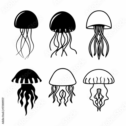 Collection of jellyfish vector illustration marine animals set