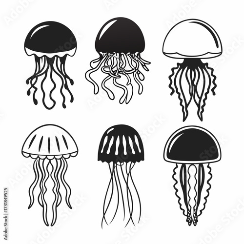 Collection of jellyfish vector illustration marine animals set