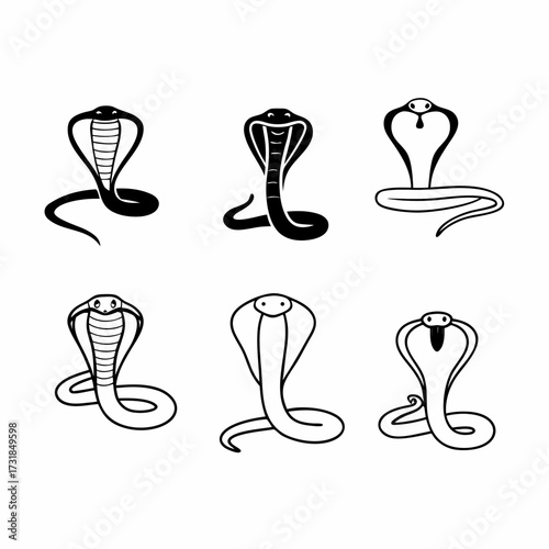 Collection of cobra snake illustrations vector illustration