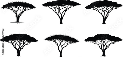 Acacia tree silhouettes, African savanna trees, flat top canopy icons, black botanical art, desert landscape design, wildlife habitat symbol, nature illustration