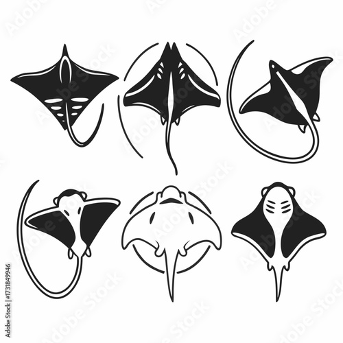 A diverse array of manta ray illustrations, , capturing their graceful presence