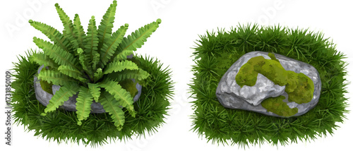 Green ferns and mossy rock on a bed of grass isolated view