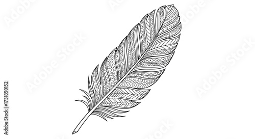 Detailed Feather Adorned with Symmetrical Zen Doodle Designs Adult Coloring Page