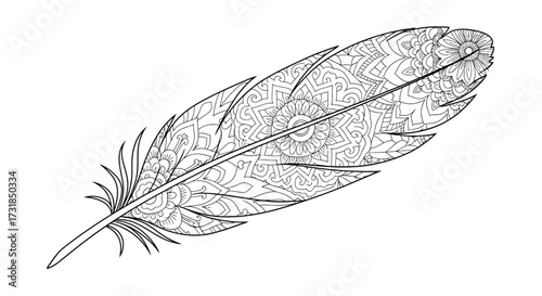 Symmetrical Zen Doodle Designs Detailed Feather Adult Coloring Art Therapy Page