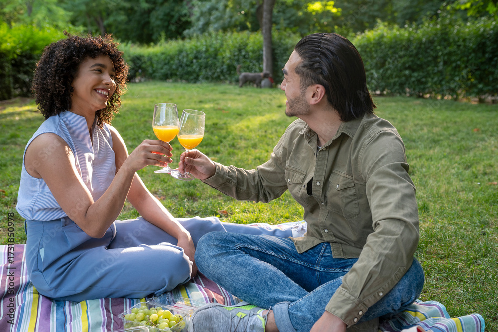 Fototapeta premium Interracial couple toasting drinks during park picnic
