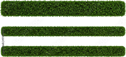 Green hedge elements on white background design concept
