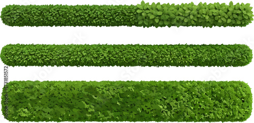 Green hedge rows in a repeating pattern on a white background