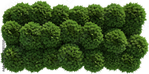 Green spherical foliage illustration isolated on a white background