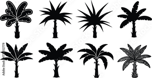 Tropical tree silhouettes, banana palm artwork, exotic foliage design, abstract botanical illustration, decorative vector trees, creative nature drawing, island forest collection