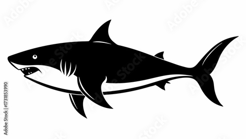 Vector illustration of a black and white illustration of a shark with its mouth open, isolated on a