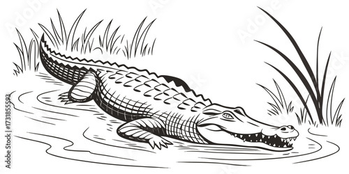 Vector illustration of a crocodile lying partially in water on a riverbank. Include realistic scales, rippling water, subtle vegetation, minimal distractions, clean wildlife composition.